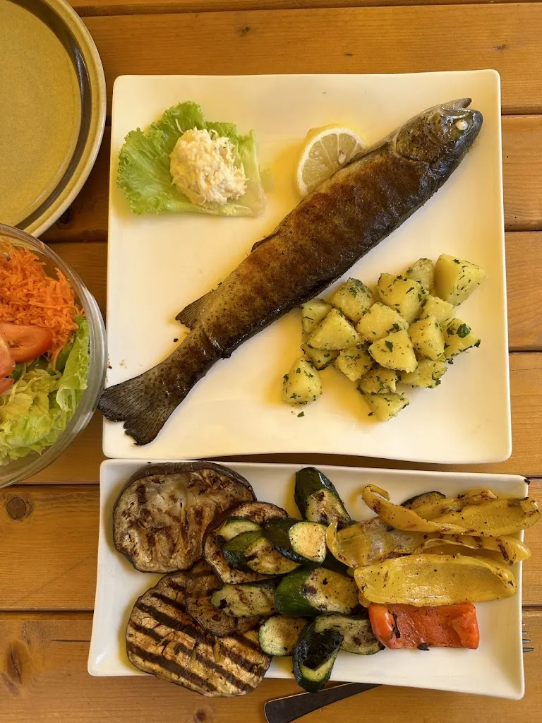 Iman Levine_Sarner Forellenzucht_Sarentino_review