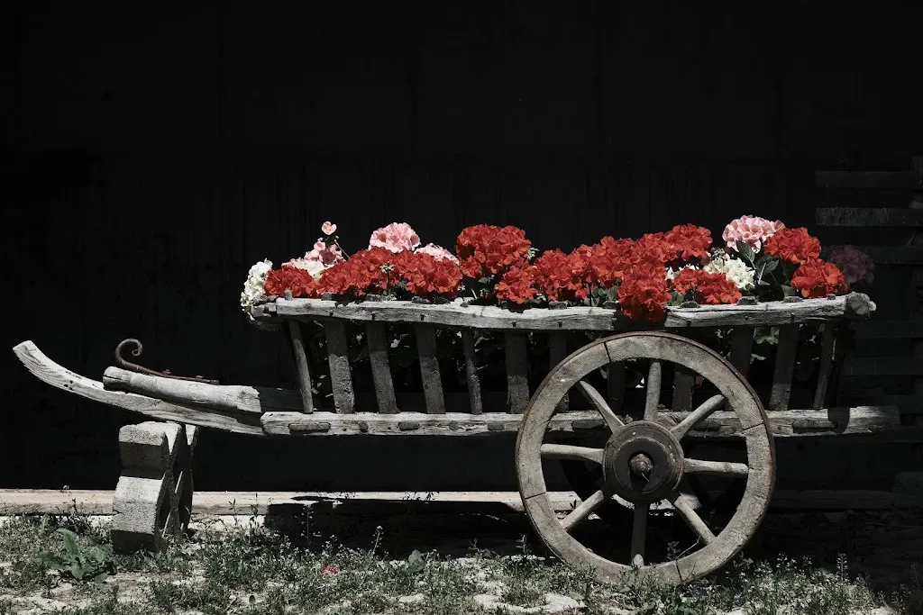 Fabius vad_Pension-Restaurant Jägerhof_Sarentino_review