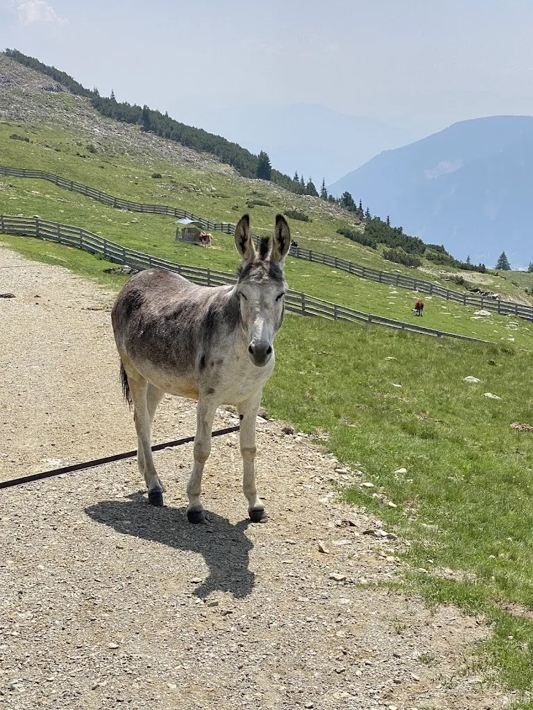 Gentereralm_Sarentino_slider_image_3