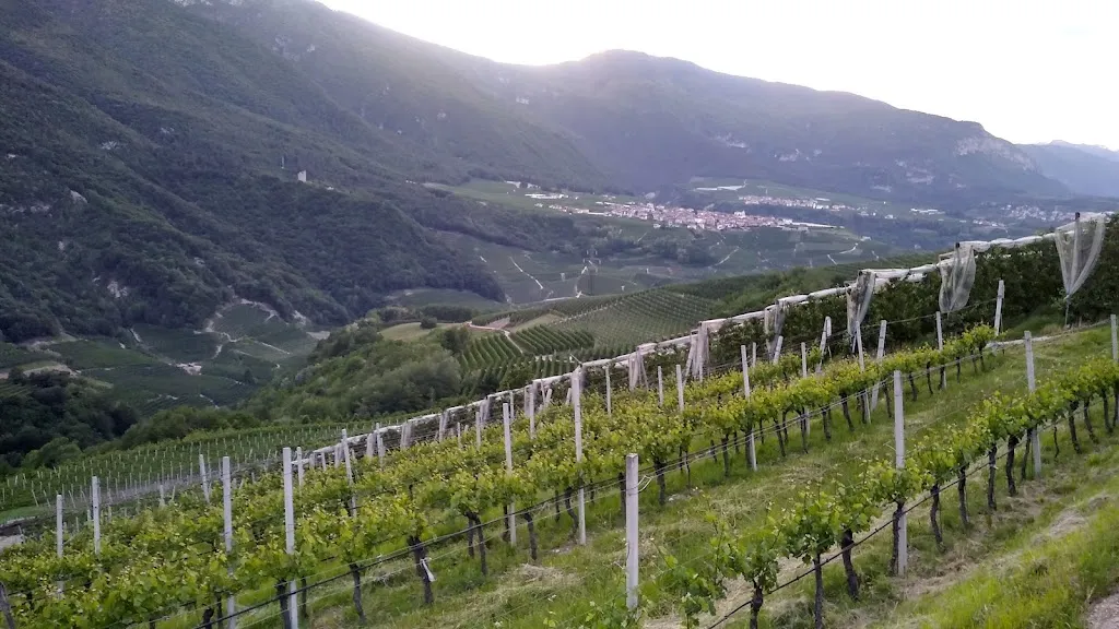 Kamilla Szerletics_Alt Spaur - Hotel_Spormaggiore_review