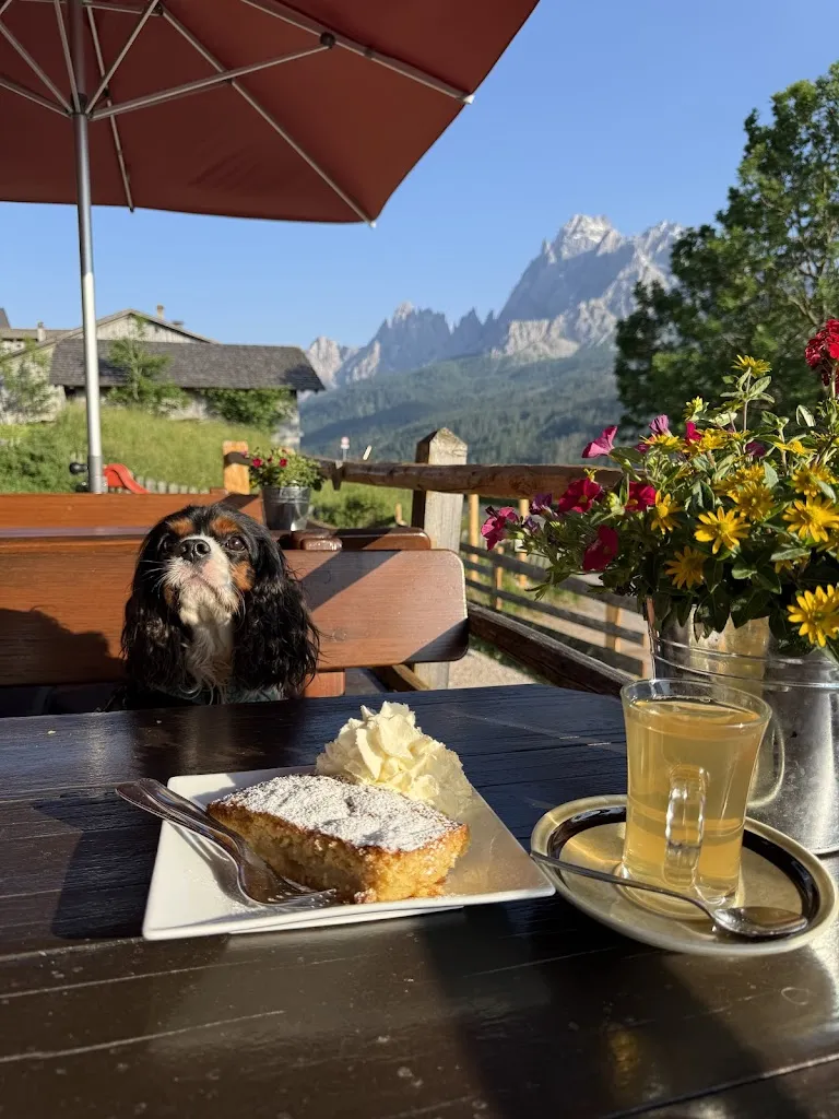 Eimante Bujaite_Gasthaus Froneben_Sesto_review