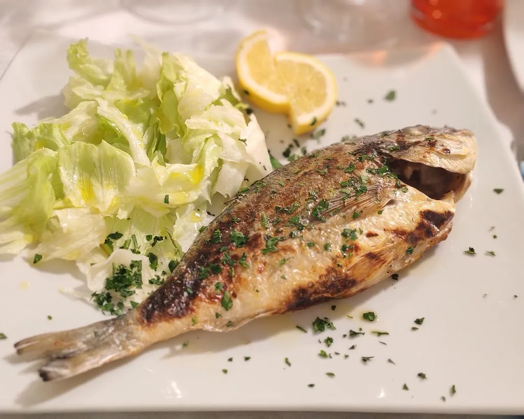 Nostrafamus_Il Baracchio_Manfredonia_review