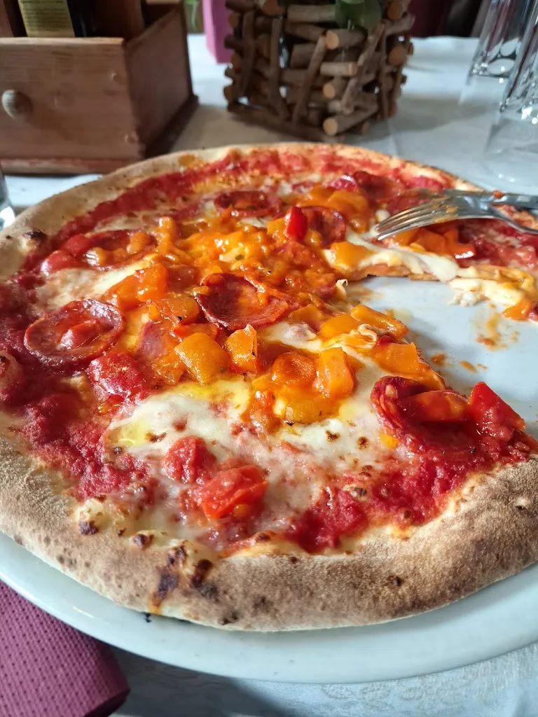 Biswaraj Palit_Riega_Sesto_review