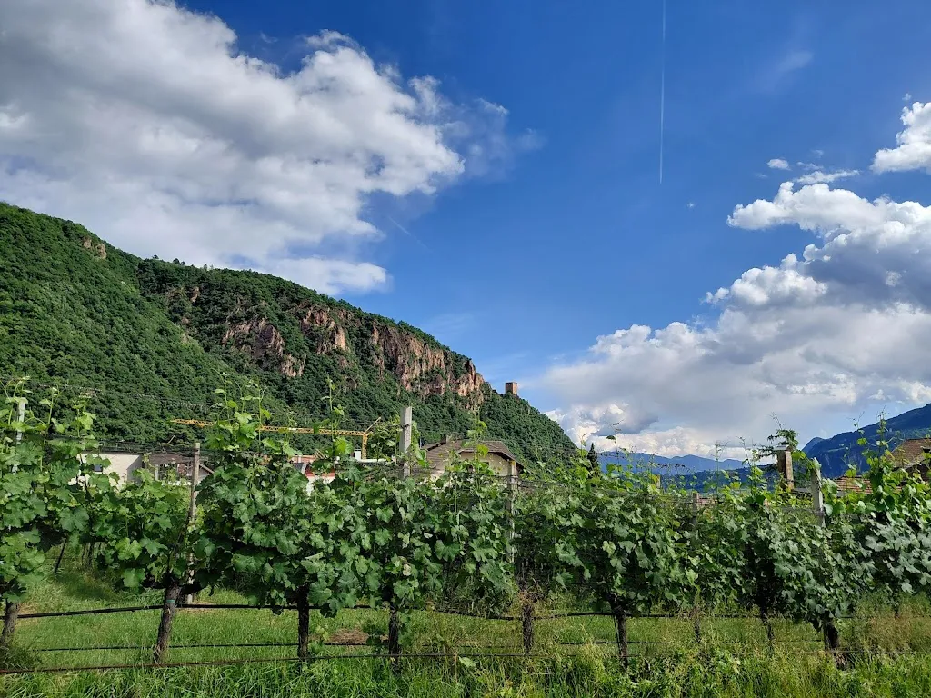 Tobias Herrmann_Weingarten Terlan - Rooms & Breakfast_Terlano_review