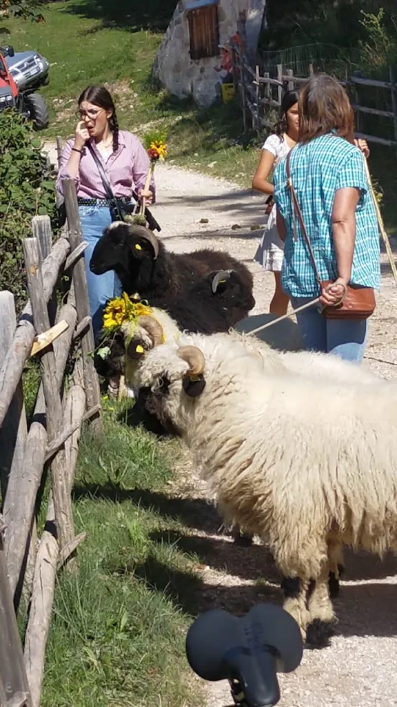 Cislon-Alm_Trodena_slider_image_2