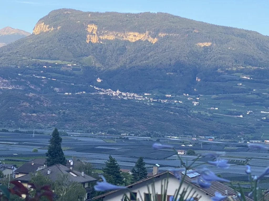 Thomas H Nielsen_Pernhof_Termeno_review