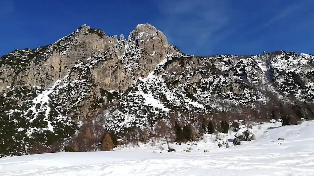 Malga Bovetal_Vallarsa_slider_image_2