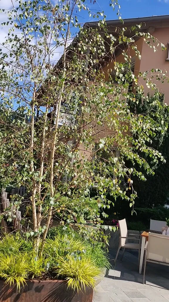 Lodenwirt Hotel restaurant in Vandoies - Vintl