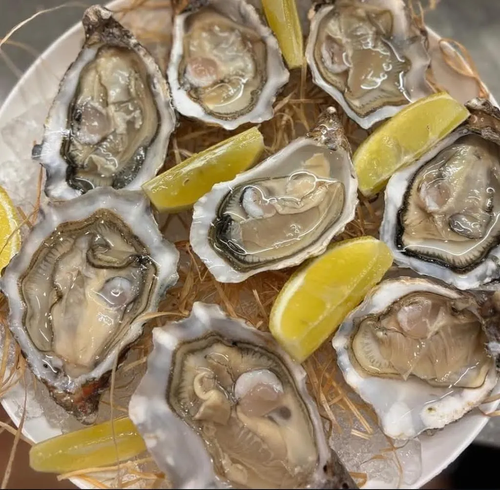 Giovanni Capursi_Frontemare_Manfredonia_review