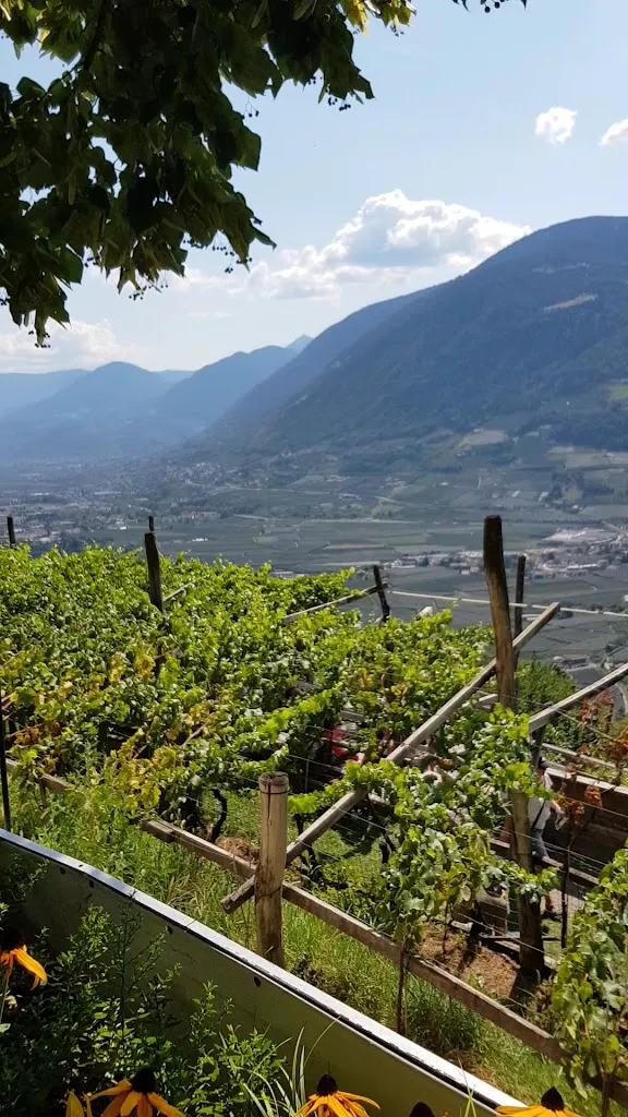 Gasthaus Schloss Tirol_Tirolo_slider_image_2