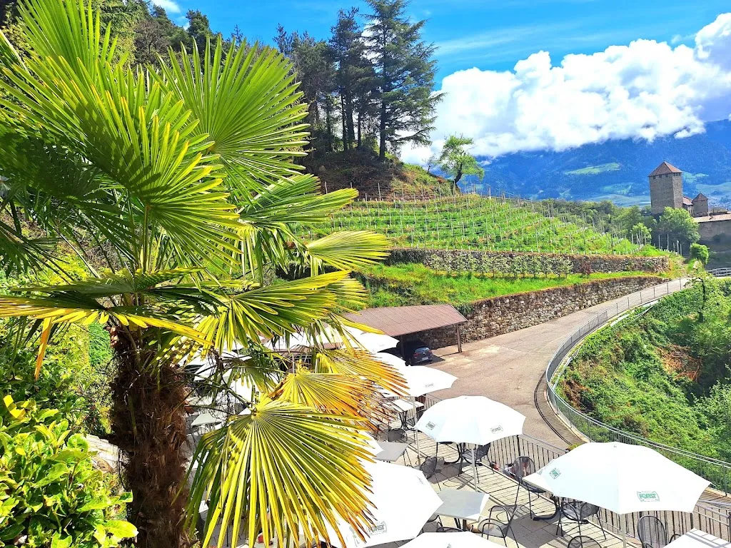 Ingo Spindelndreier_Schneeweisshof_Tirolo_review