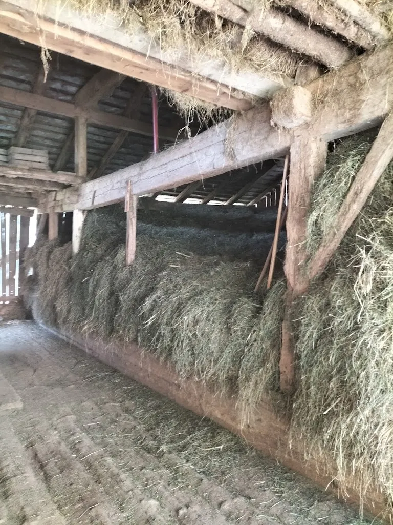 Danila A_Gasthaus Longfall_Tirolo_Bewertung