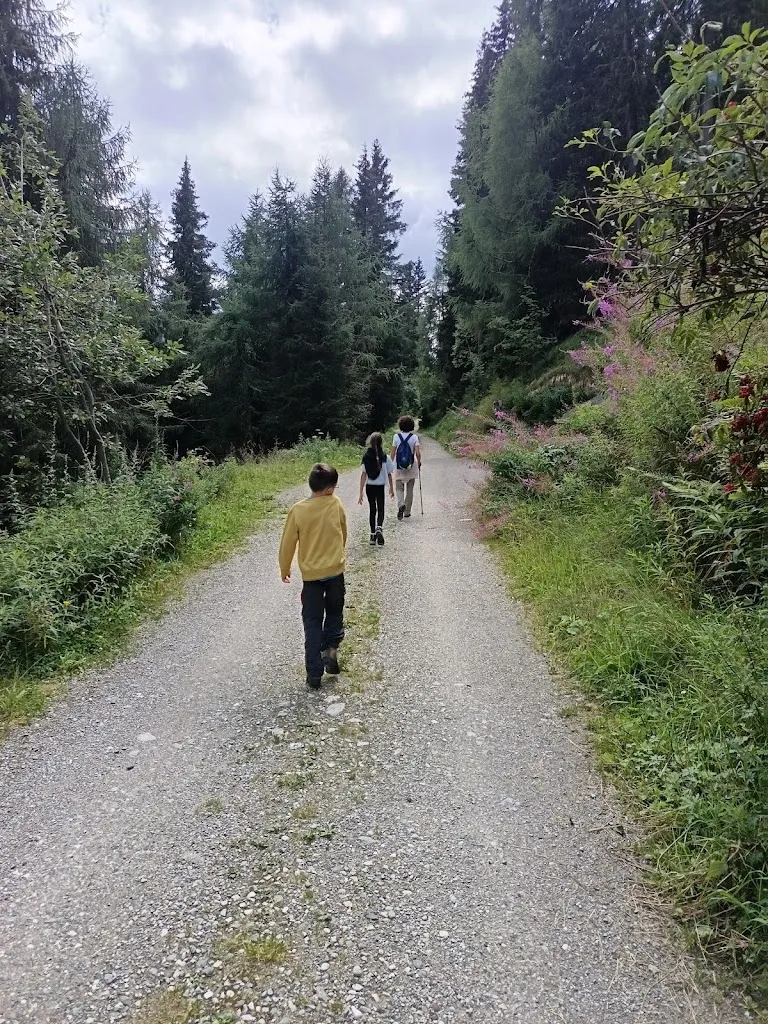 Michele Fedeli_Malga Ascht-Alm_Valle di Casies - Gsies_review