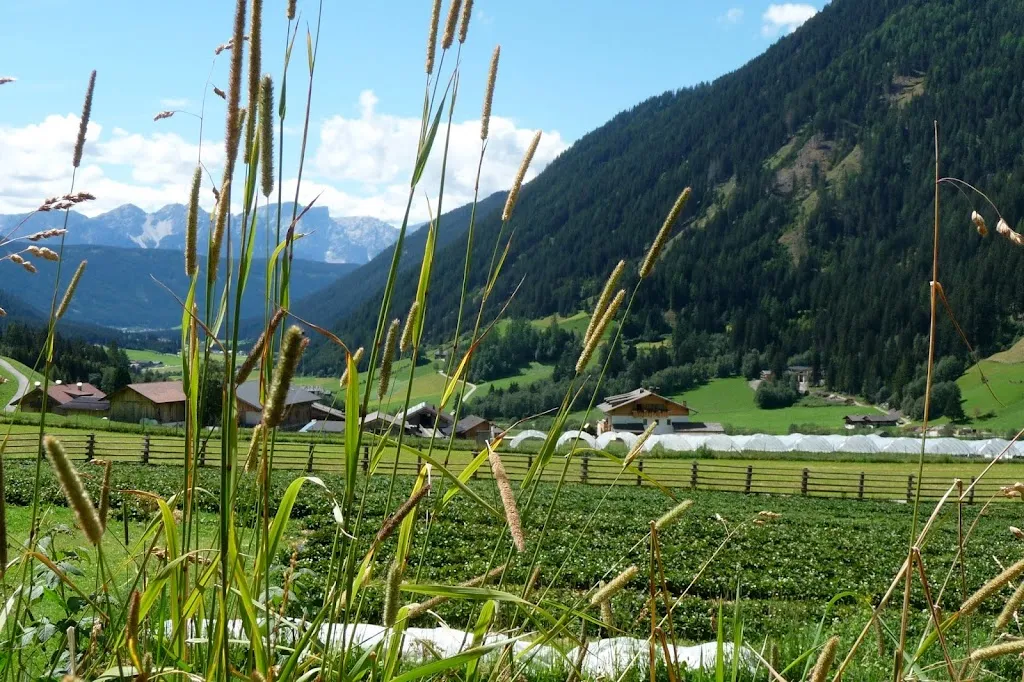 Regiohof_Valle di Casies - Gsies_slider_image_3