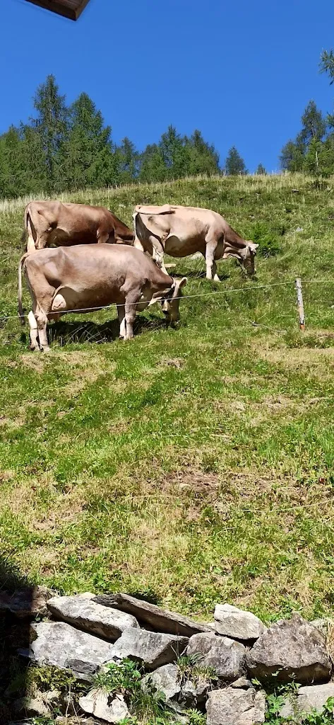 Barbosa_Tolderhütte_Valle di Casies - Gsies_review