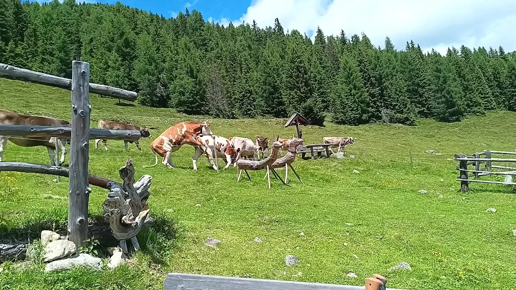 Houfa Hitte_Valle di Casies - Gsies_slider_image_2