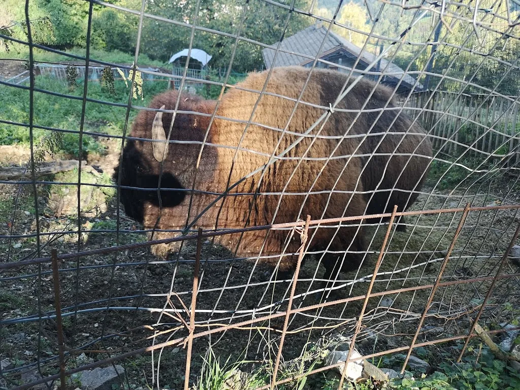 Graciela Malgesini Rey_Al baito farm_Vattaro_review