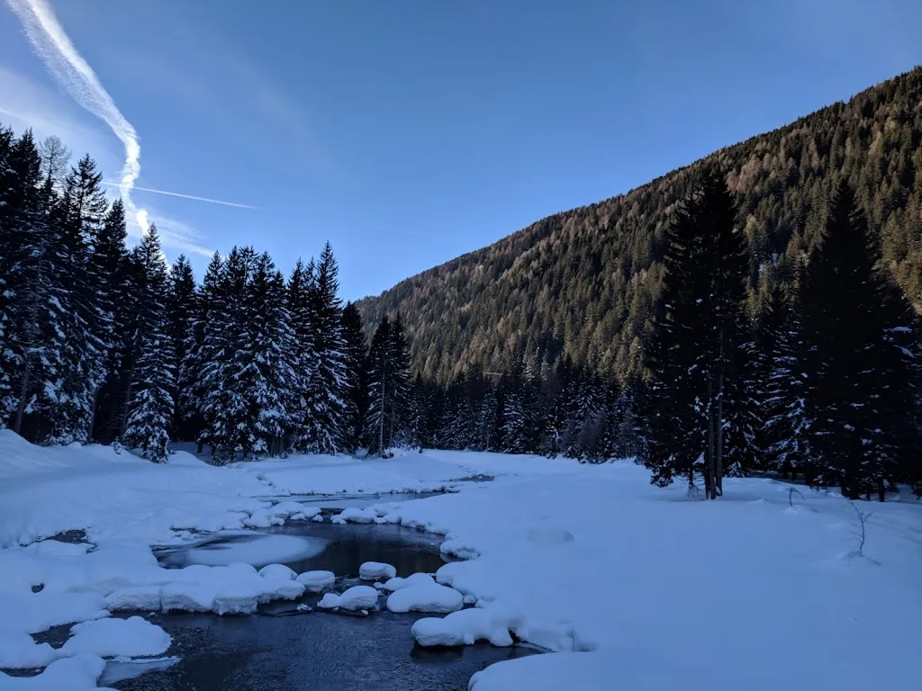 Marco Viappiani_Bar Centro Fondo Vermiglio Di Delpero Fortunato E C._Vermiglio_review