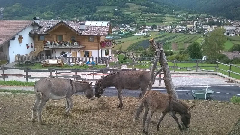 Agritur La Val_Vigolo Vattaro_slider_image_2