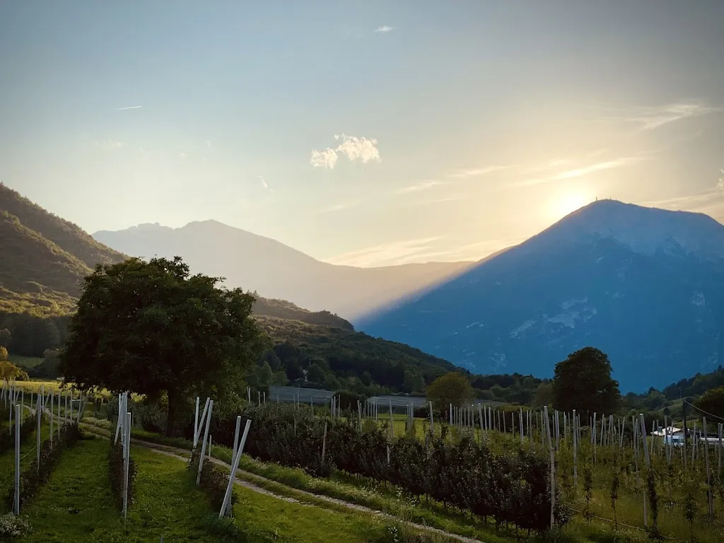 Wietske Kropff_Berry House_Vigolo Vattaro_review