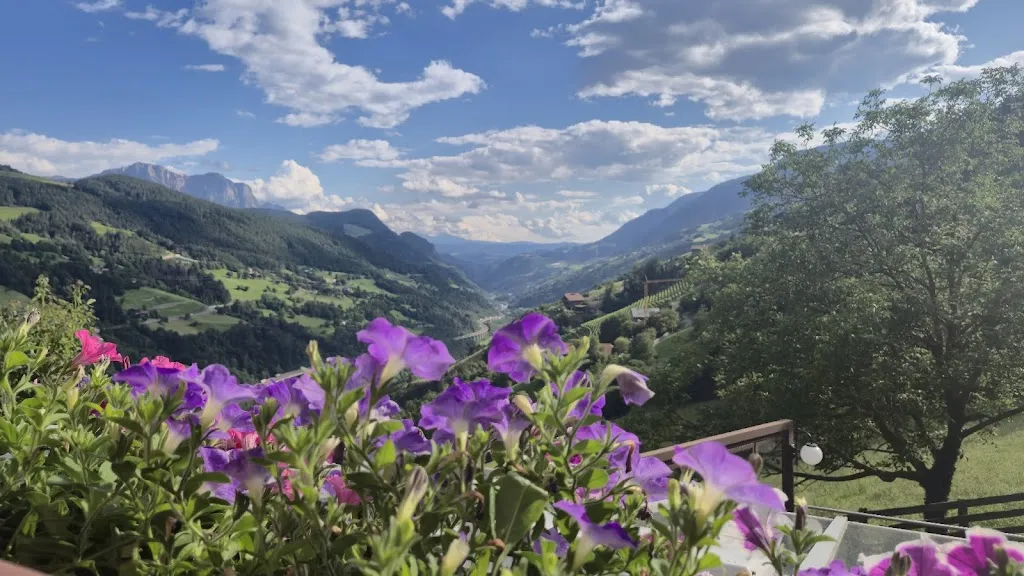 Frank Weidinger_Albergo Sturmhof_Villandro_review