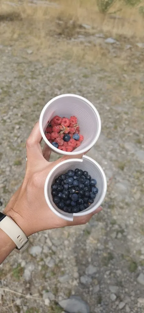 Menu_Rifugio Abetone Selletta_Abetone_image_9