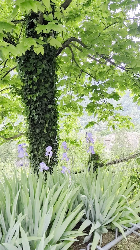 Meowana_Ristorante Il Nonno Cianco_Abetone_review