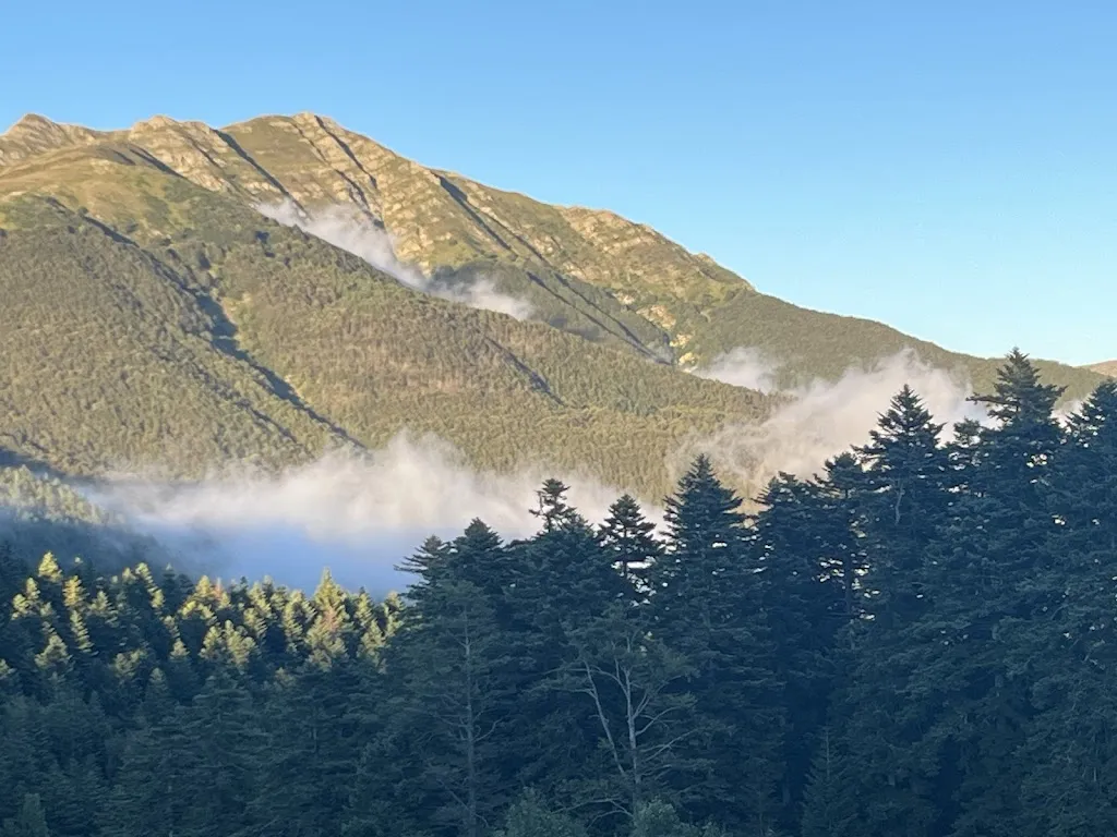 Pizzeria La Taverna_Abetone_slider_image_3