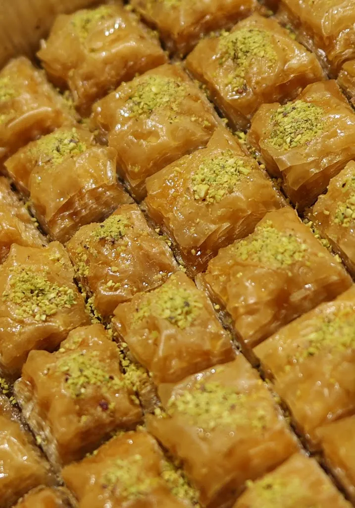 Menu_Kebab House_Vignola_immagine_2