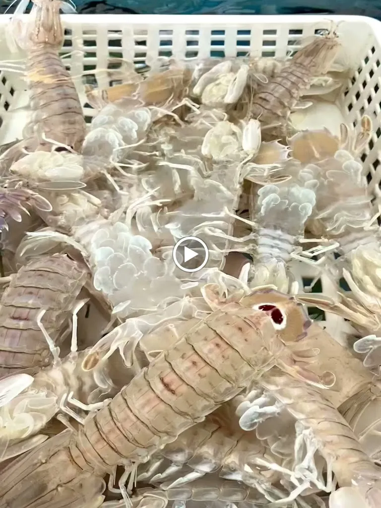 Pescheria Martellomare_Manfredonia_slider_image_2