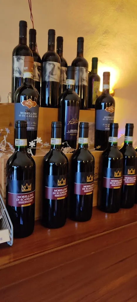 Florian Tschurtschenthaler_Il Cavalluccio Marino_Albinia_review