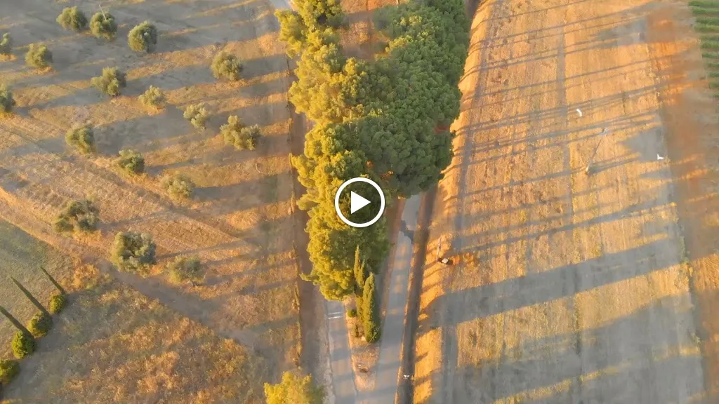 Il Ristorante di Antica Fattoria La Parrina_Albinia_slider_image_2
