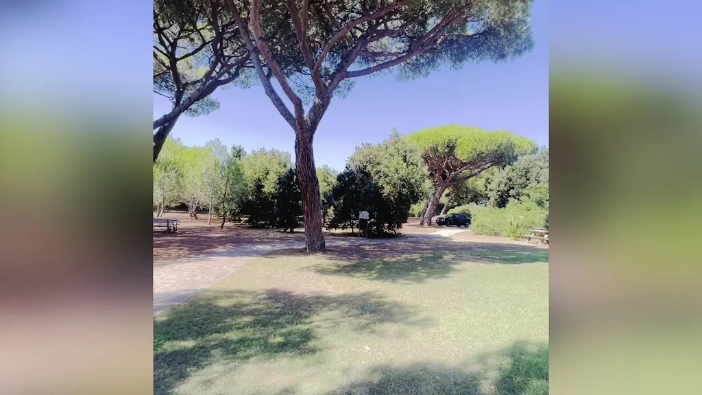 Ristorante Pineta_Albinia_slider_image_2