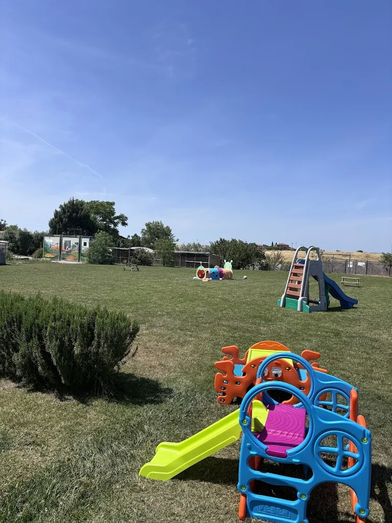 Fabrizio M_MaremMani Agriristoro_Albinia_review