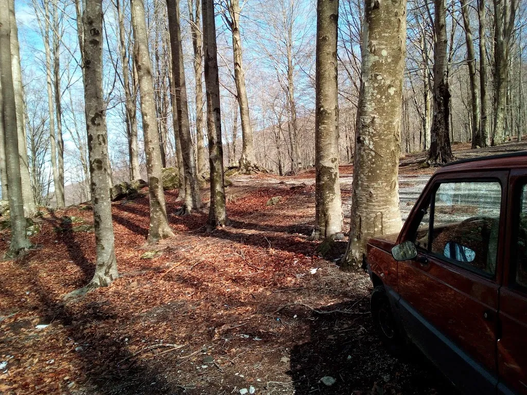 Gatto D'oro_Arcidosso_slider_image_3