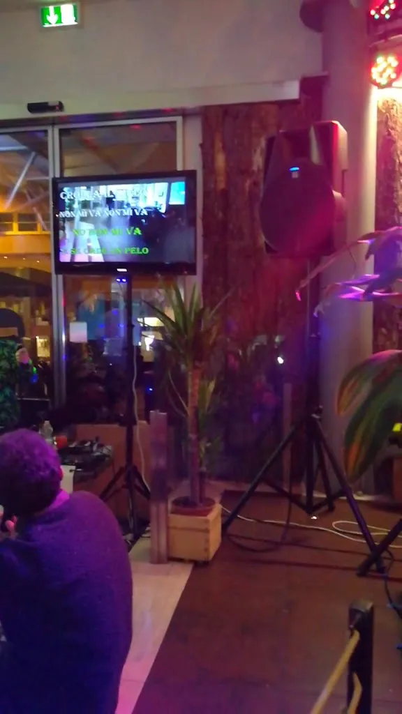 Jungle In Town_Arezzo_slider_image_2