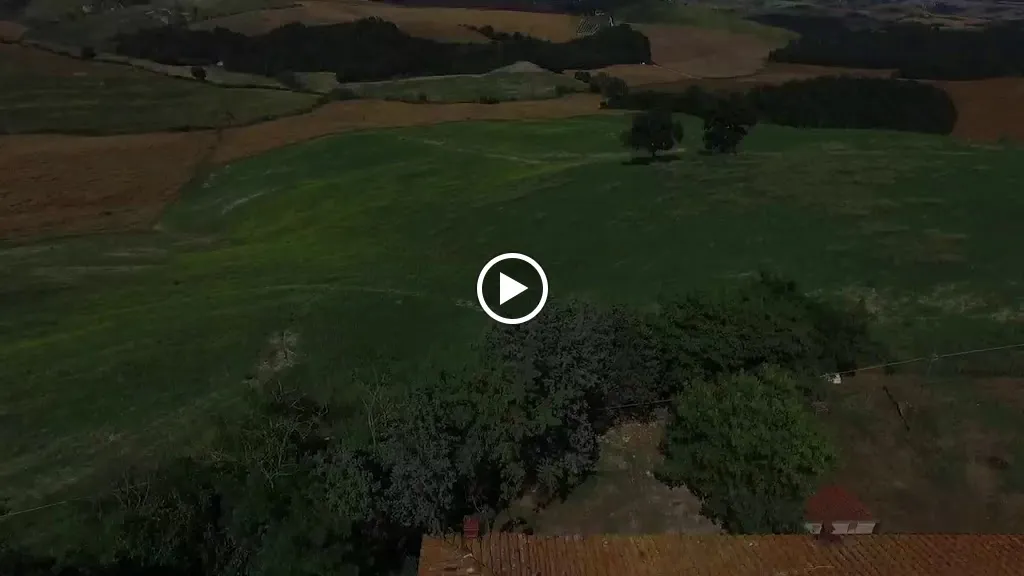 Bar Osteria La Pievina_Asciano_slider_image_2