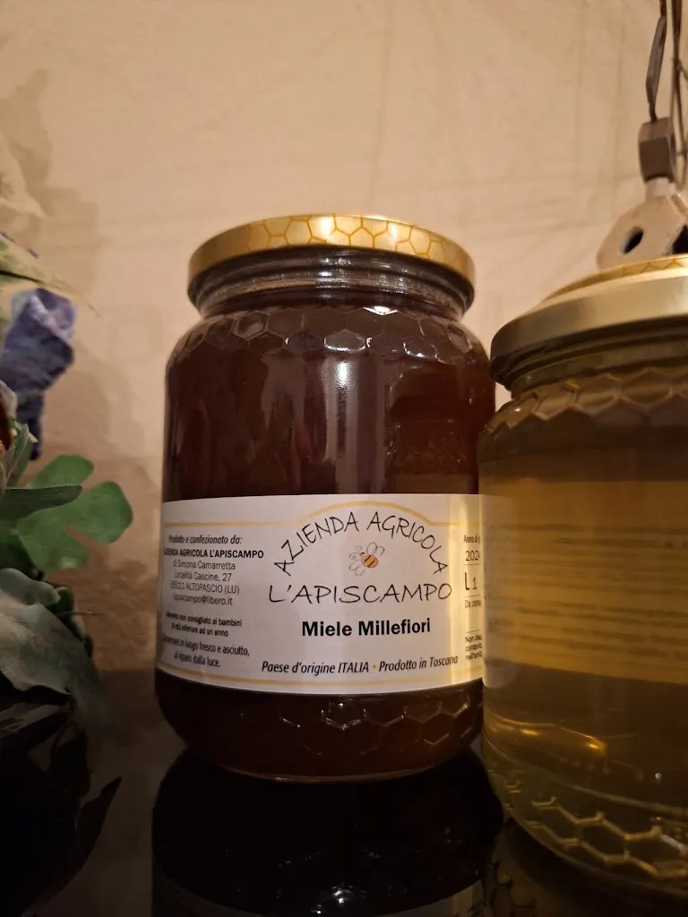 Roberto Piccin_Ristorante L' Apiscampo_Altopascio_review