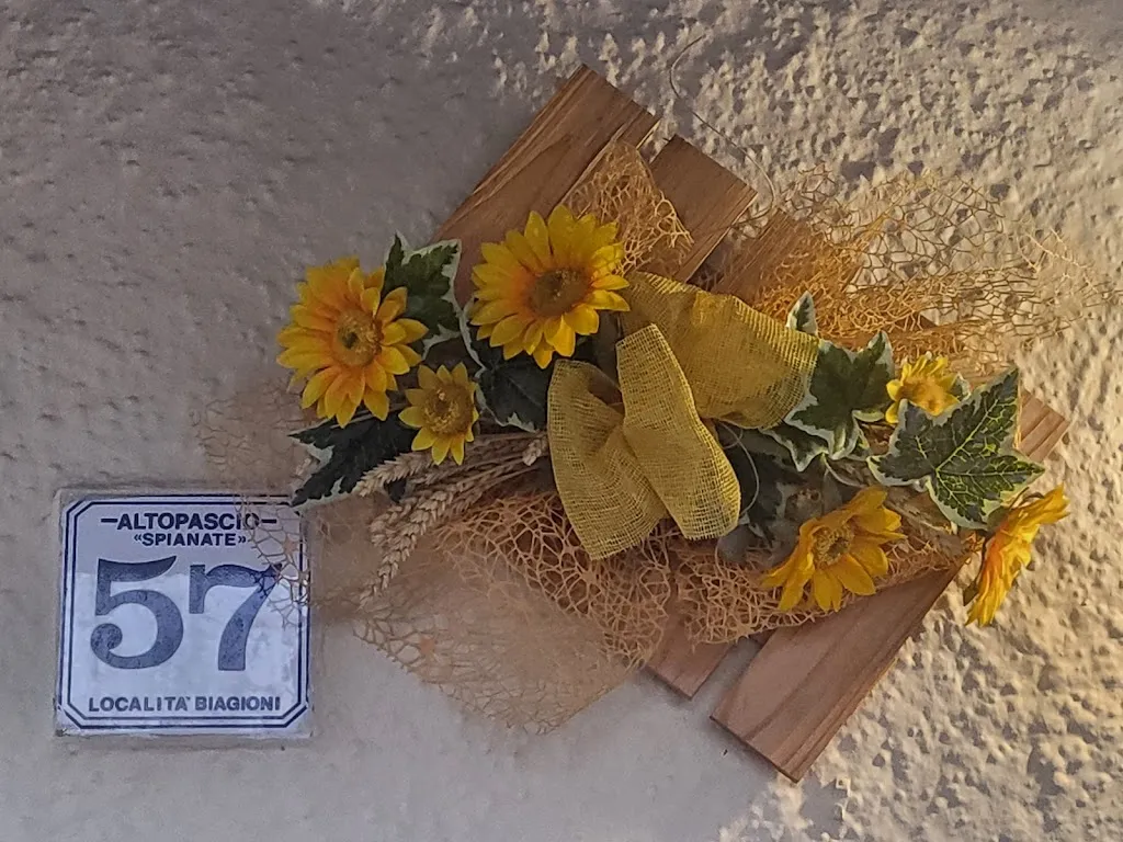 marino caus_La Taverna del Riccio_Altopascio_review