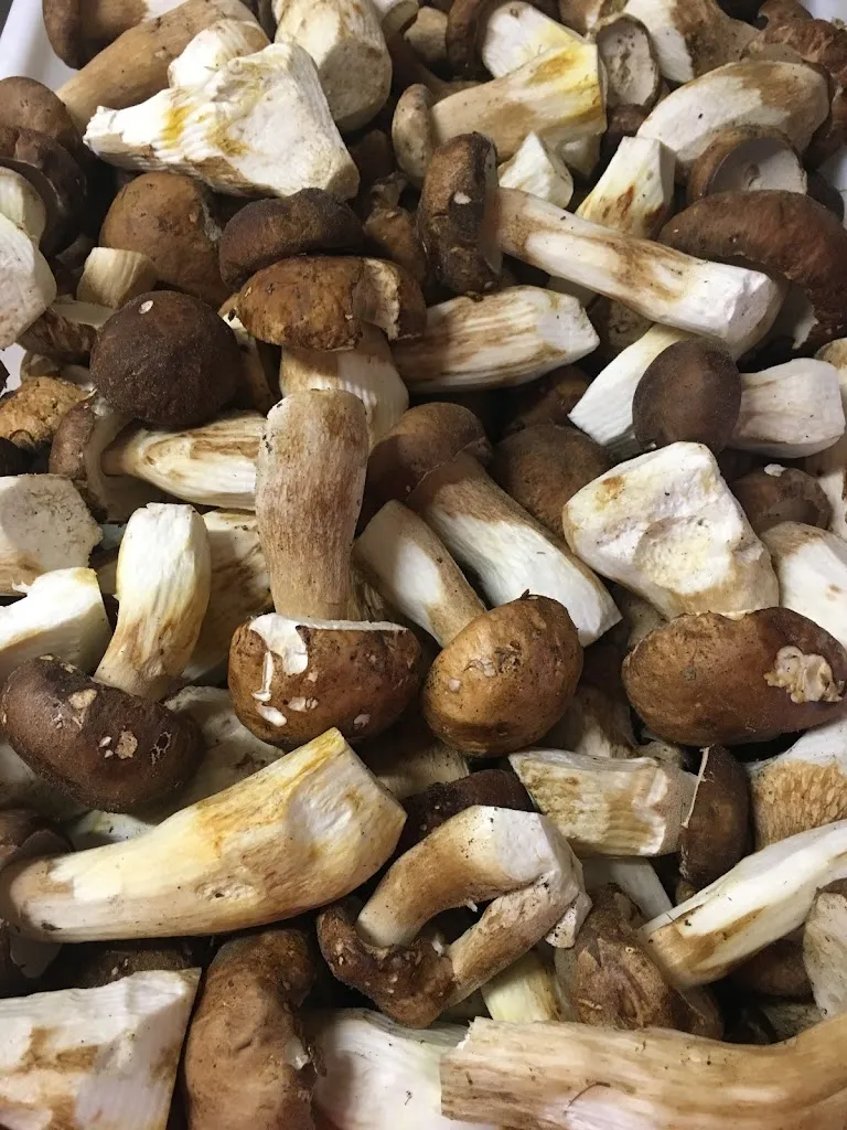 Four Seasons_Martina Franca_slider_image_2