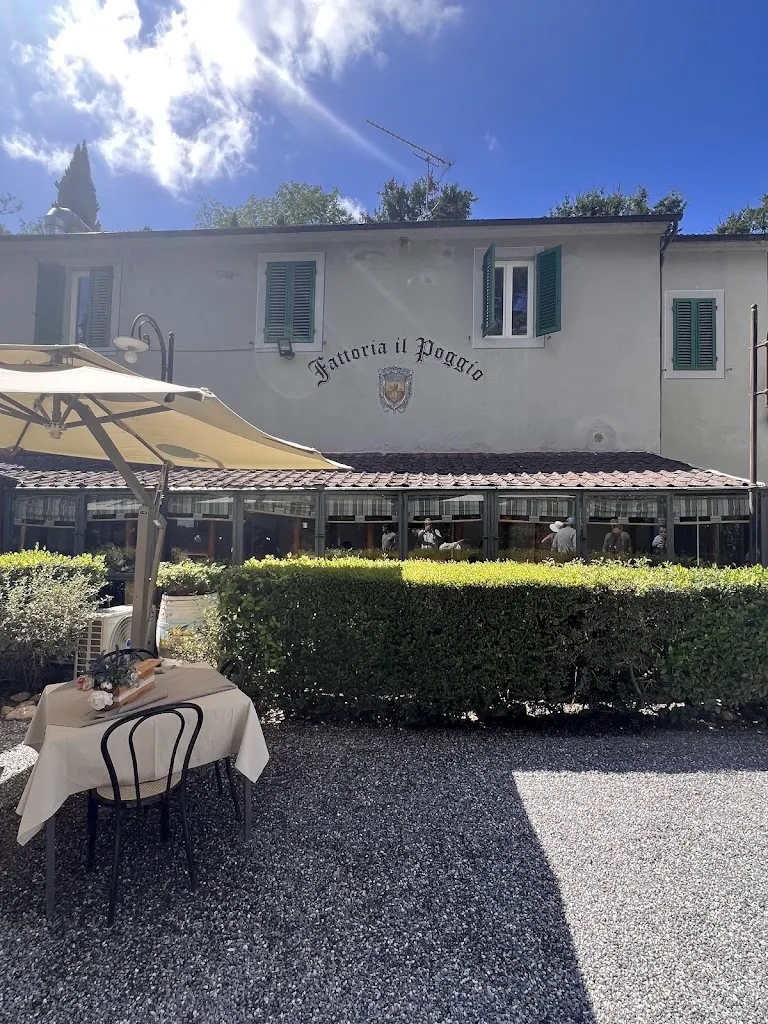 David Edrich_Ristorante Fattoria Il Poggio_Altopascio_review