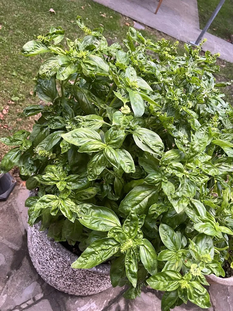 Federico Corvucci_La Locanda Dell'Imperatore da Loriano_Badia Tedalda_recensione