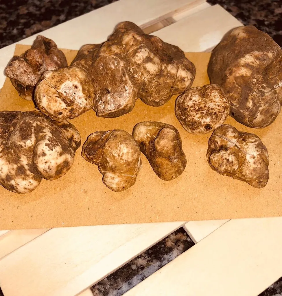 Menu_Bardeschi - Locanda Imperatore_Badia Tedalda_image_9