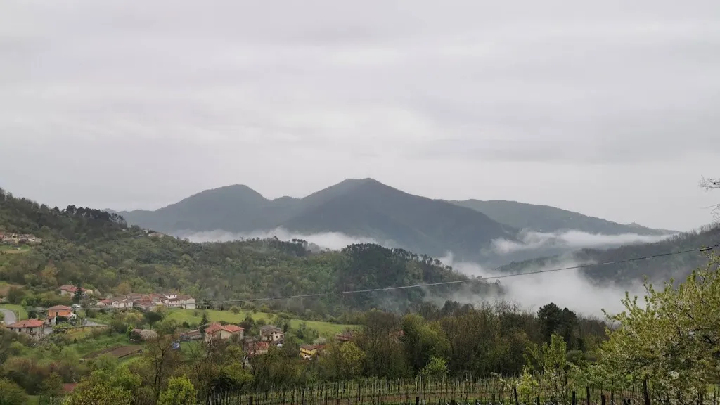 William Meadmore_Da Gambin_Aulla_review