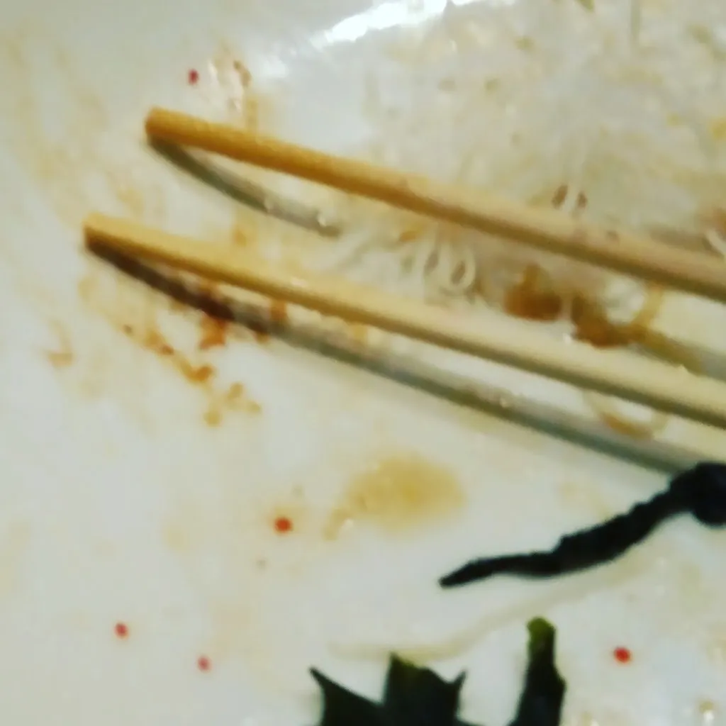 Erminia Colucci_Shoshin Japanese Restaurant_Martina Franca_review