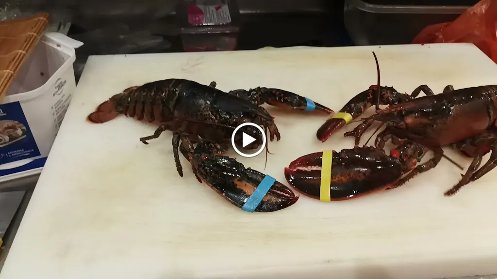 Shoshin Japanese Restaurant_Martina Franca_slider_image_2