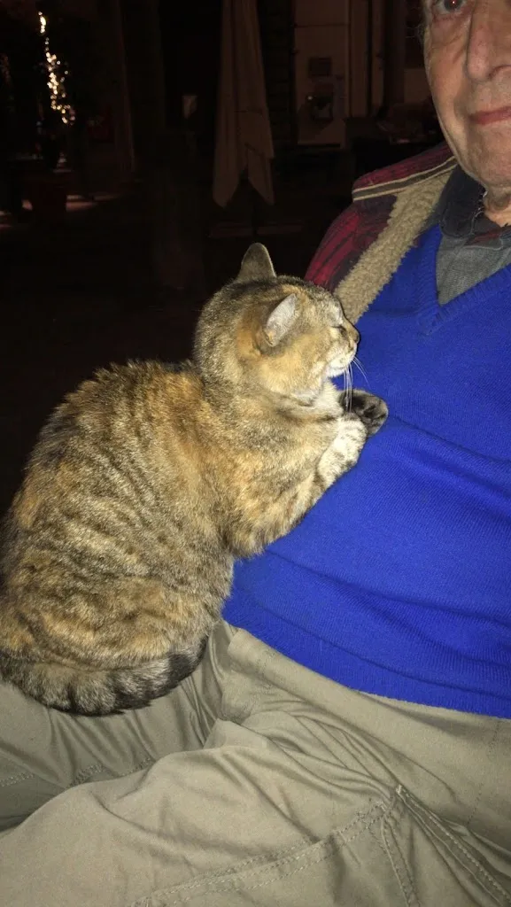 nemo nihil_DA ARISTO_Barga_Bewertung