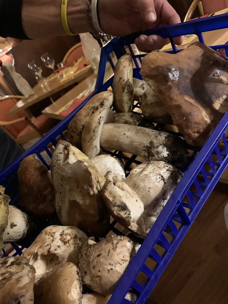 Menu_Ristorante Cavalier Bruno dal 1949_Bagni di Lucca_image_1