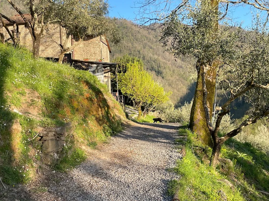 huilin dongfang_Agriturismo Pian di Fiume_Bagni di Lucca_review