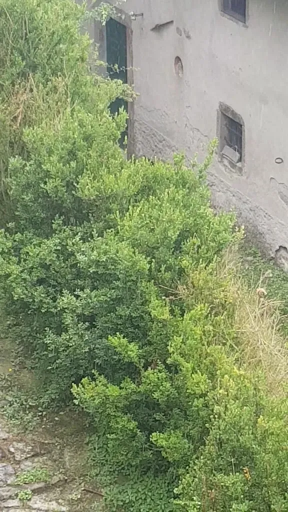 Agriturismo Pian di Fiume_Bagni di Lucca_slider_image_2